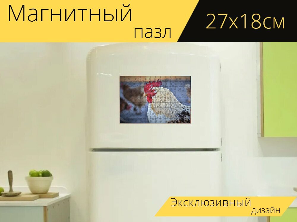 Магнитный пазл "Голова петуха, петушиный гребень, птица" на холодильник 27 x 18 см.