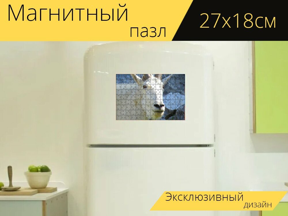 Магнитный пазл "Белый горный козел, козел, рогатый козел" на холодильник 27 x 18 см.