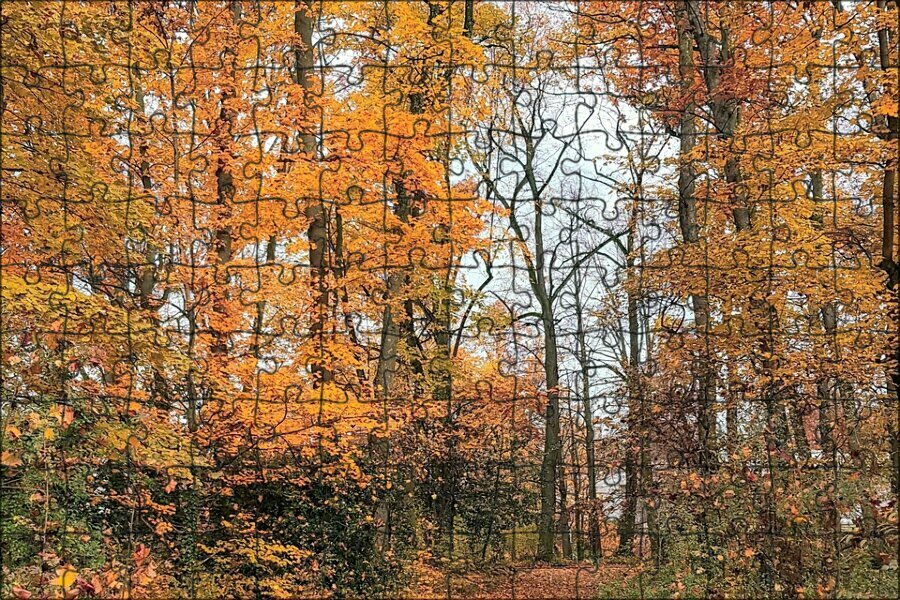 Магнитный пазл "Природа, лес, осень" на холодильник 27 x 18 см.