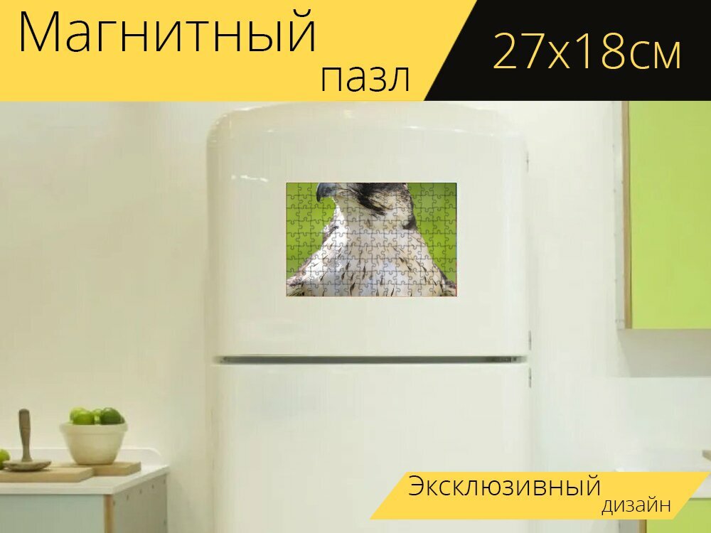 Магнитный пазл "Птица, орел, клюв" на холодильник 27 x 18 см.