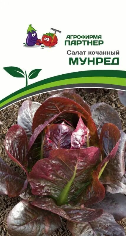 Партнер Салат кочанный мунред (15 Семян)