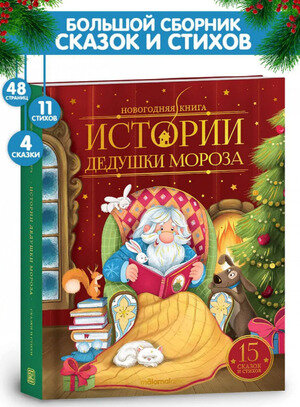 Новогодняя книга. Истории Дедушки Мороза - фото №3