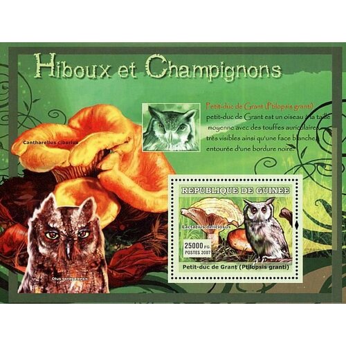 Почтовые марки Гвинея 2007г. Совы и грибы Совы, Грибы, Птицы MNH