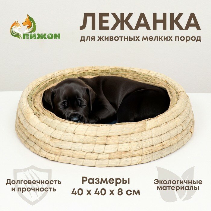 Экологичный лежак для животных (хлопок+рогоз), 40 см, белая 9545823 - фотография № 1