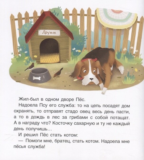 Кот и пес (Первые эмоции в сказках и картинках) - фото №2