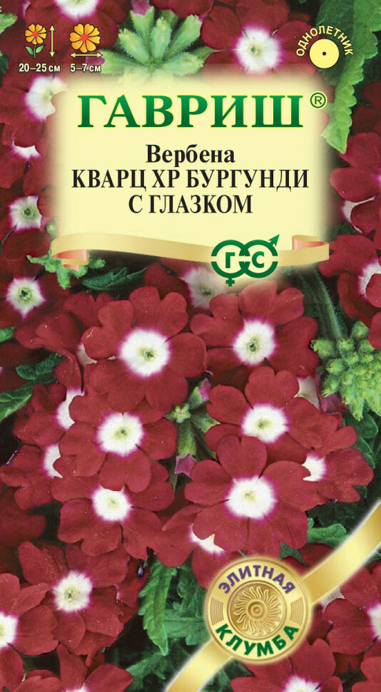 Семена Вербена гибридная Кварц XP Бургунди с глазком 4шт Гавриш Элитная клумба 10 пакетиков