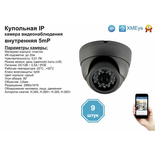 9шт DVS300IP5MPPOE Внутренняя IP камера 5мП с ИК до 20м 2950000₽