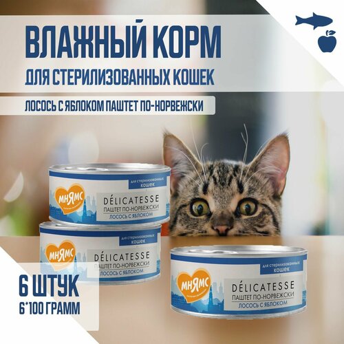 Влажный корм Мнямс для стерилизованных кошек "Паштет по-норвежски", Лосось с яблоком, 100 г х 6 шт