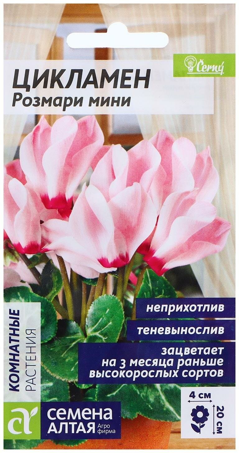 Семена Цикламен 