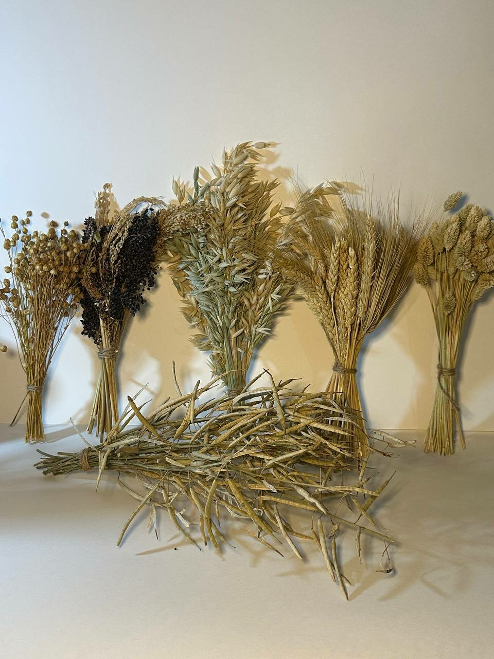 Лакомство для всех грызунов и птиц 6 веничков ( пшеница овёс лён сорго (черный красный) рапс фаляриса(канареечное семя).