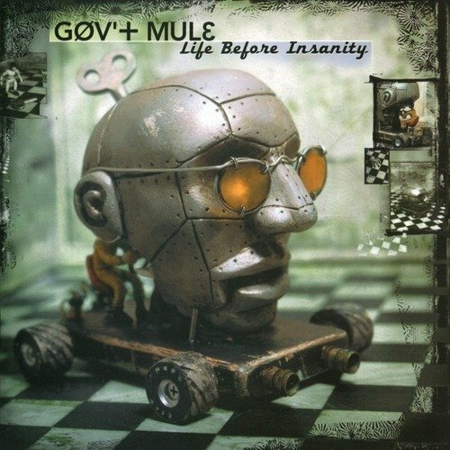 Gov't Mule: Life Before Insanity