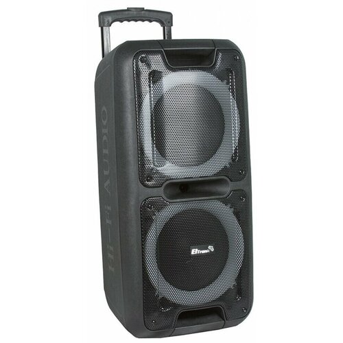 Портативная акустическая система Eltronic 10 20-14 Dance Box 300 (черный)
