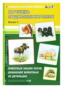 Картотека предметных картинок "Животные наших лесов, домашние животные, их детеныши". Выпуск 4. - фото №1