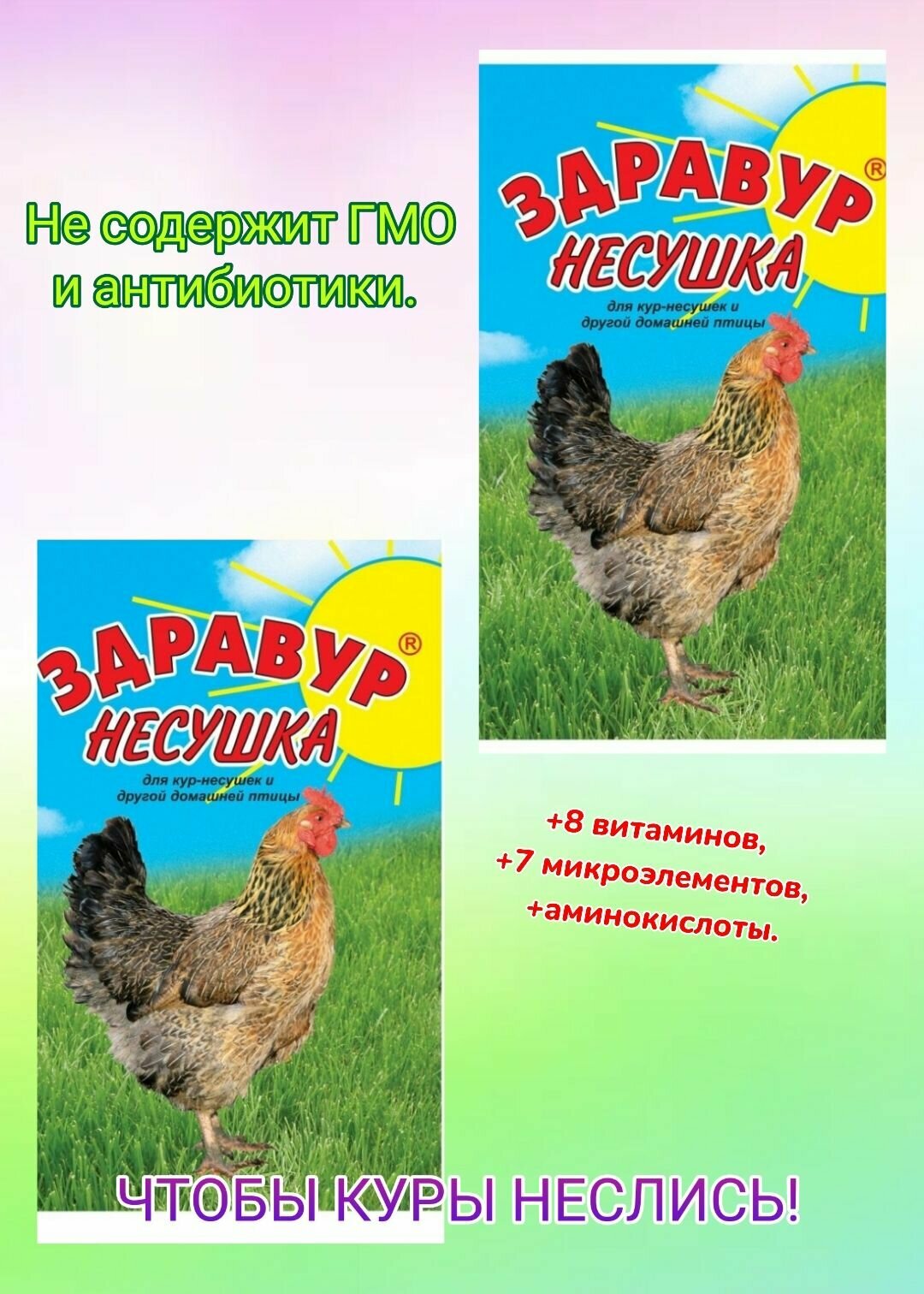 Кормовая добавка для кур-несушек и другой домашней птицы Здравур Несушка, 2 пакета по 250гр. - фотография № 1