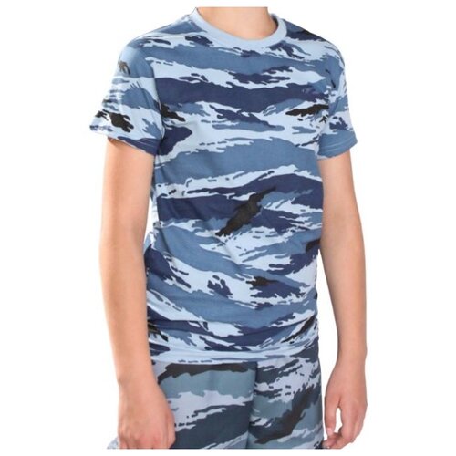 фото Футболка бвр камыш, размер 46/170-176, серый