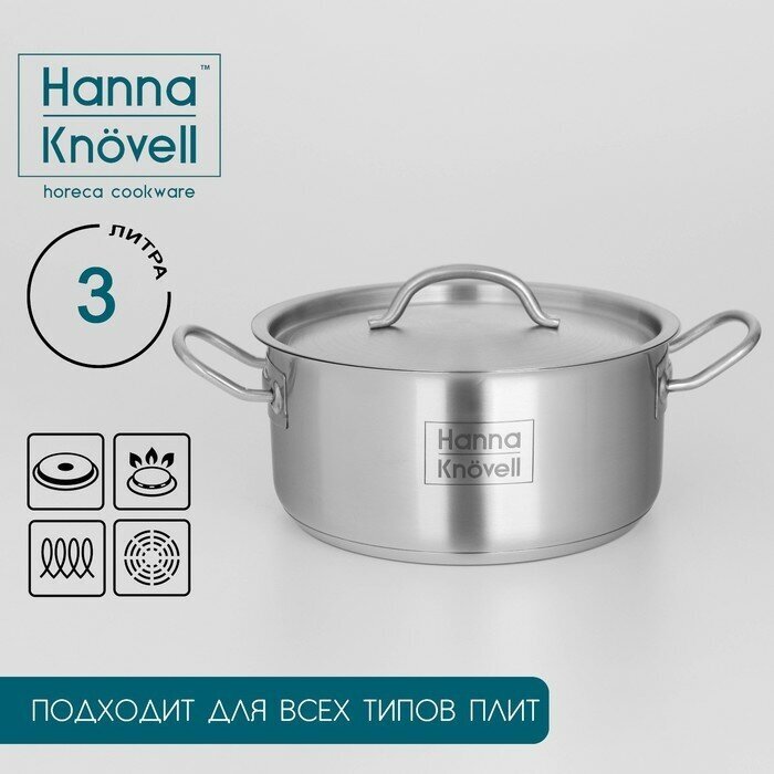 Кастрюля из нержавеющей стали Hanna Knövell с крышкой 3 л d=20 см h=95 см толщина стенки 06 мм индукция