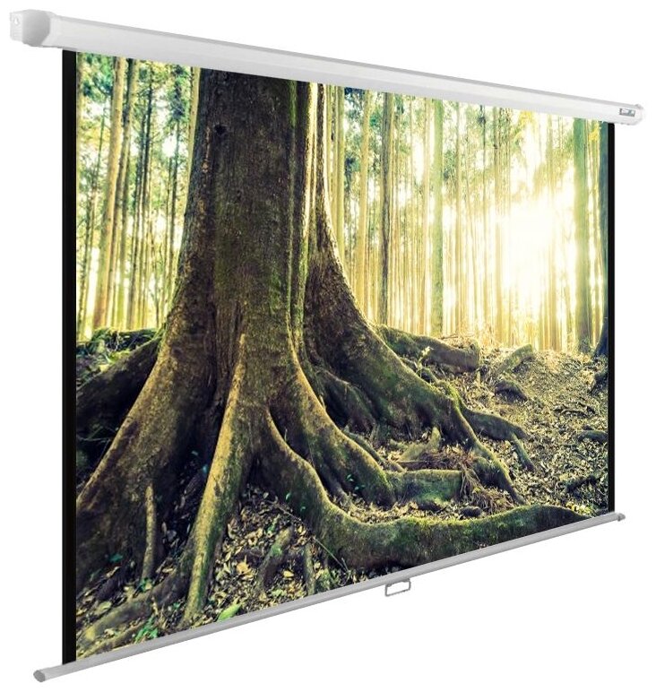 Экран Cactus 220x220см WallExpert CS-PSWE-220x220-WT 1:1 настенно-потолочный рулонный