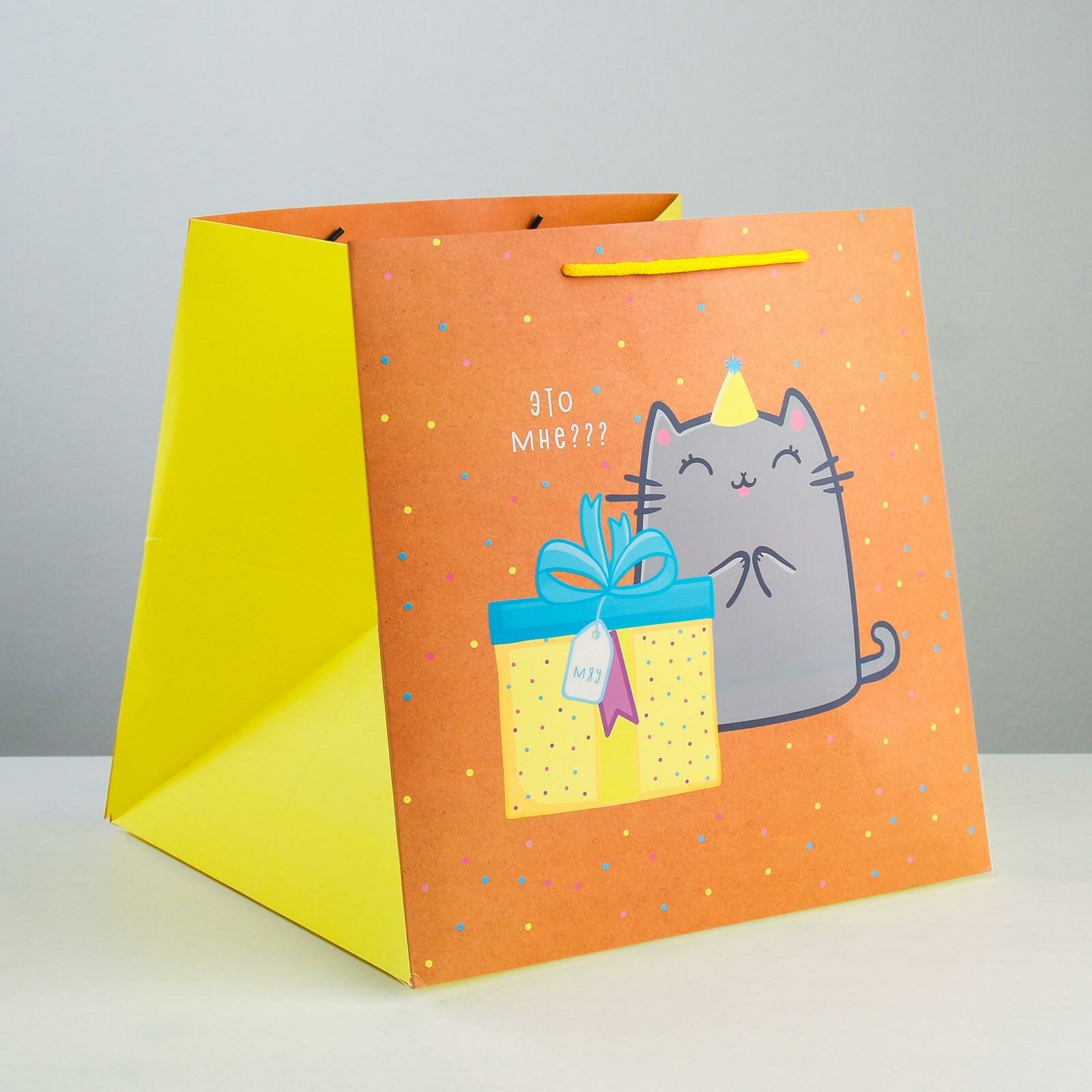 Пакет подарочный квадратный «Котик и тортик», 30 × 30 × 30 см