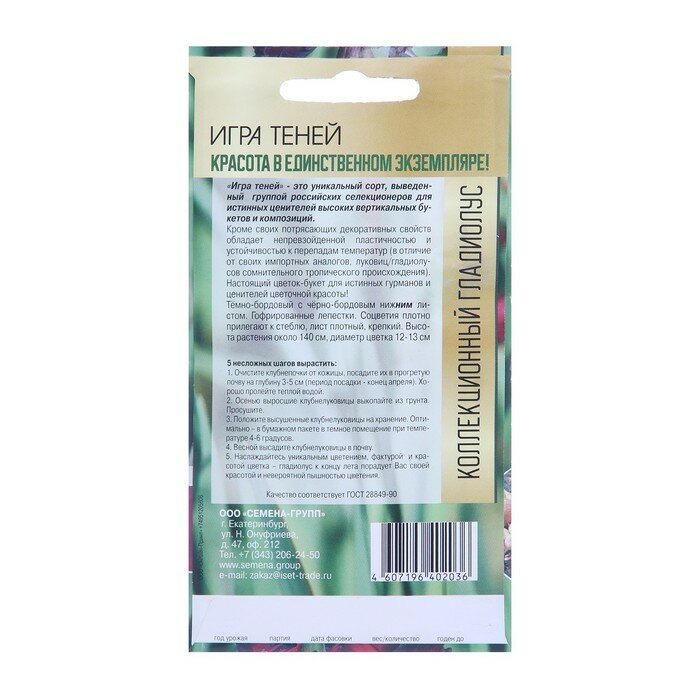 Клубнепочка гладиолуса Игра теней (темный), 5 шт. — фото 2