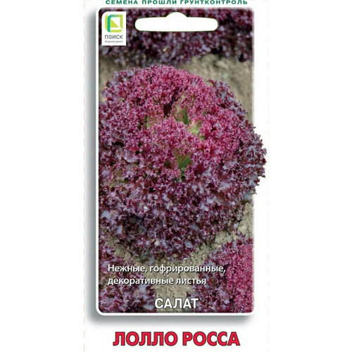 Салат Лолло Росса 470514