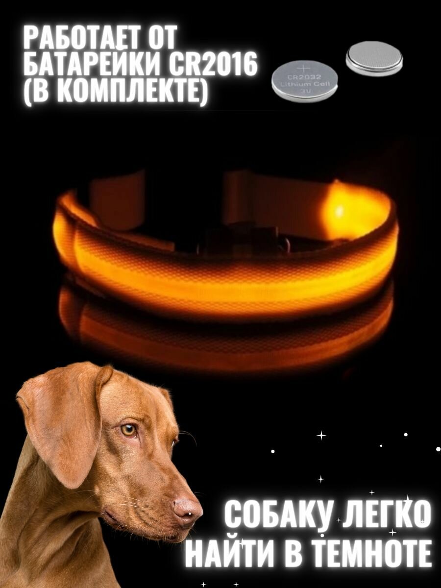 Светящийся ошейник для собак, для крупных, средних и мелких пород, светодиодный LED с регулировкой длины - фотография № 2
