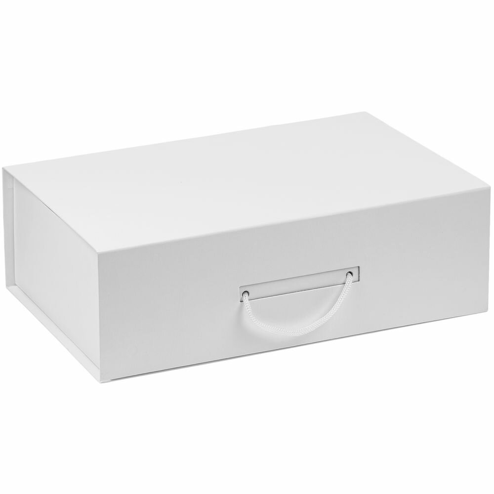 Коробка Big Case белая 39х263х125 см; внутренние размеры: 37х253х12 см