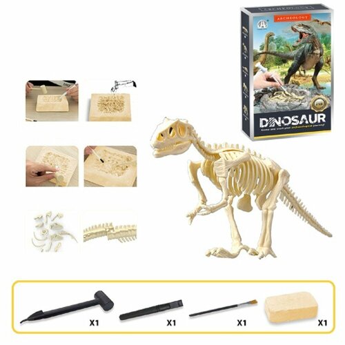 Набор для раскопок скелет динозавра, основа из гипса 14 х 9.5 х 3 см, молоток, долото и кисть, СН1301-2