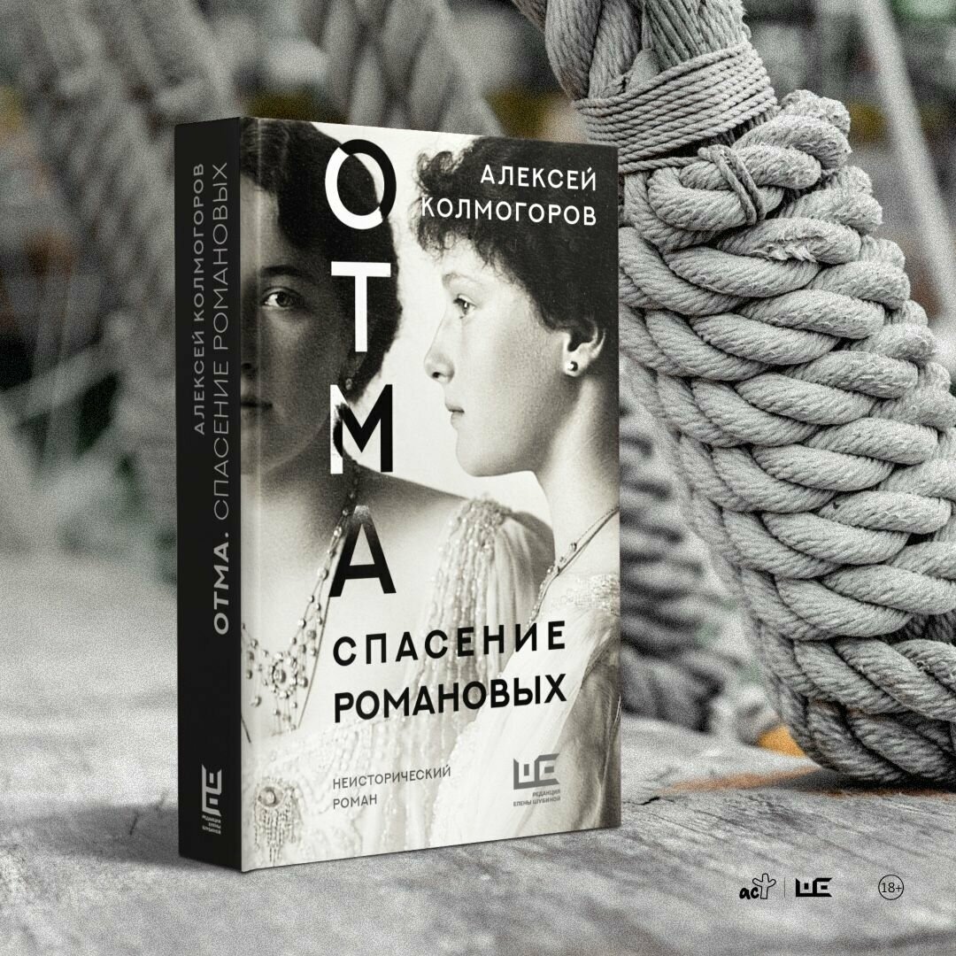 ОТМА. Спасение Романовых (Колмогоров Алексей Алексеевич) - фото №10