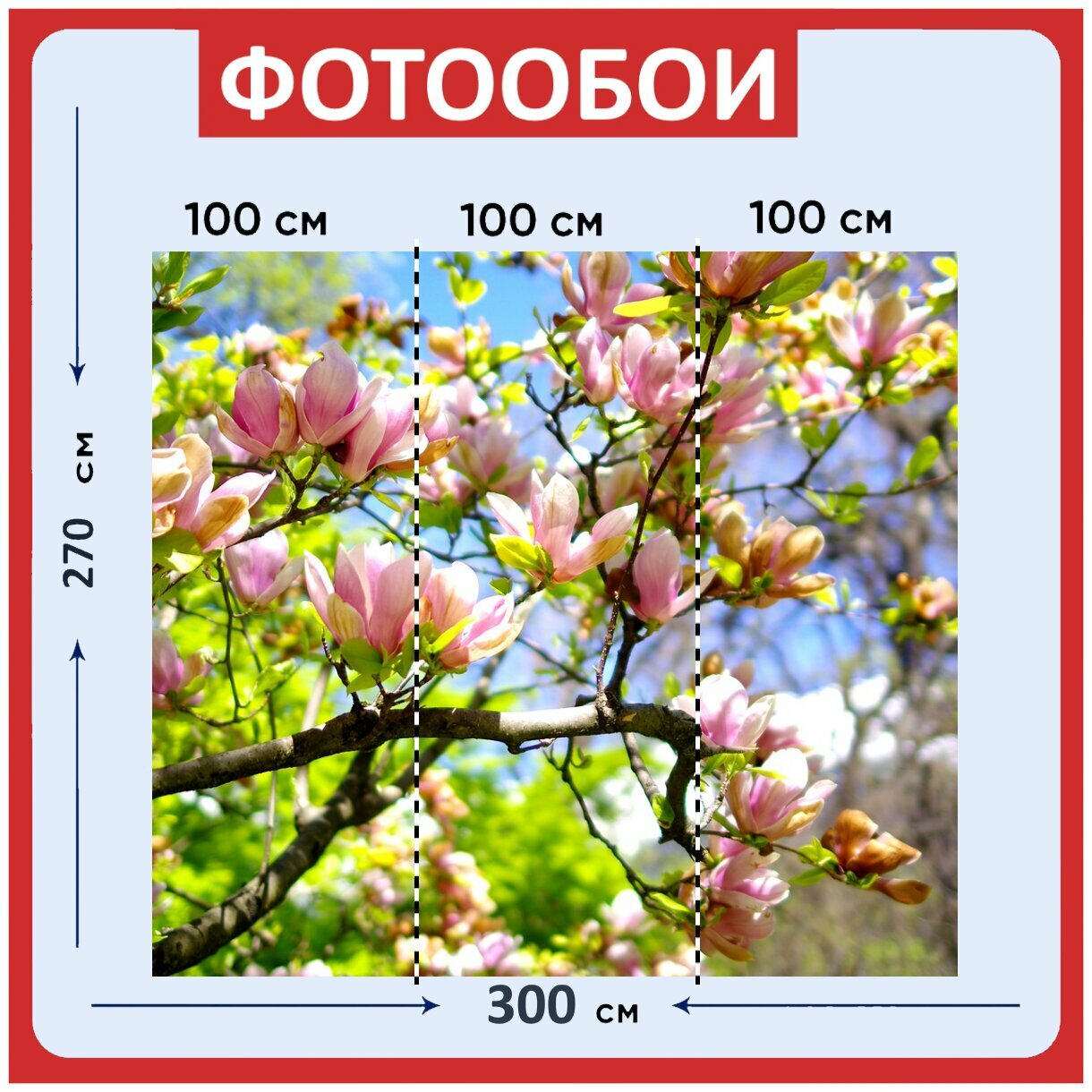 Фотообои ударопрочные моющиеся 