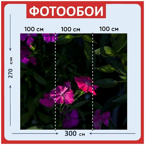 Фотообои Фиолетовый темный текстура 300x270 см флизелиновыена стену 3940₽