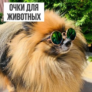 Основная фотография от вендора