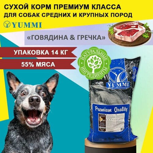 Сухой корм для собак премиум класса YUMMI Юмми Premium Говядинагречка 14 кг 6800₽
