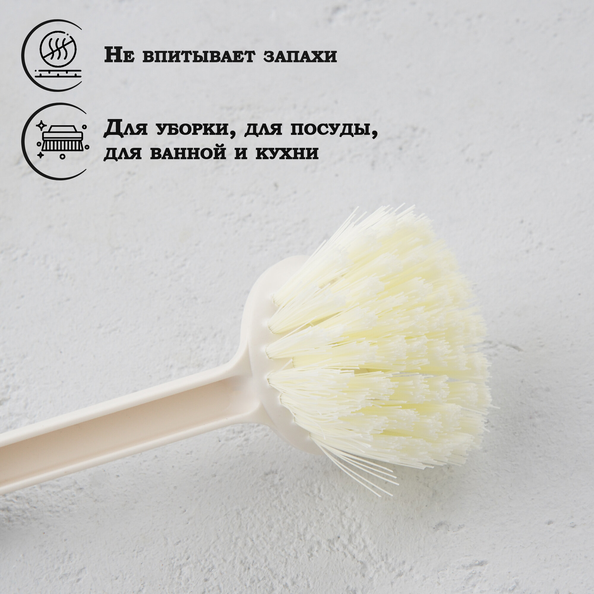 Щётка для мытья посуды Raccoon Breeze, 24×6 см, ворс 2,5 см, цвет бежевый — фото 1
