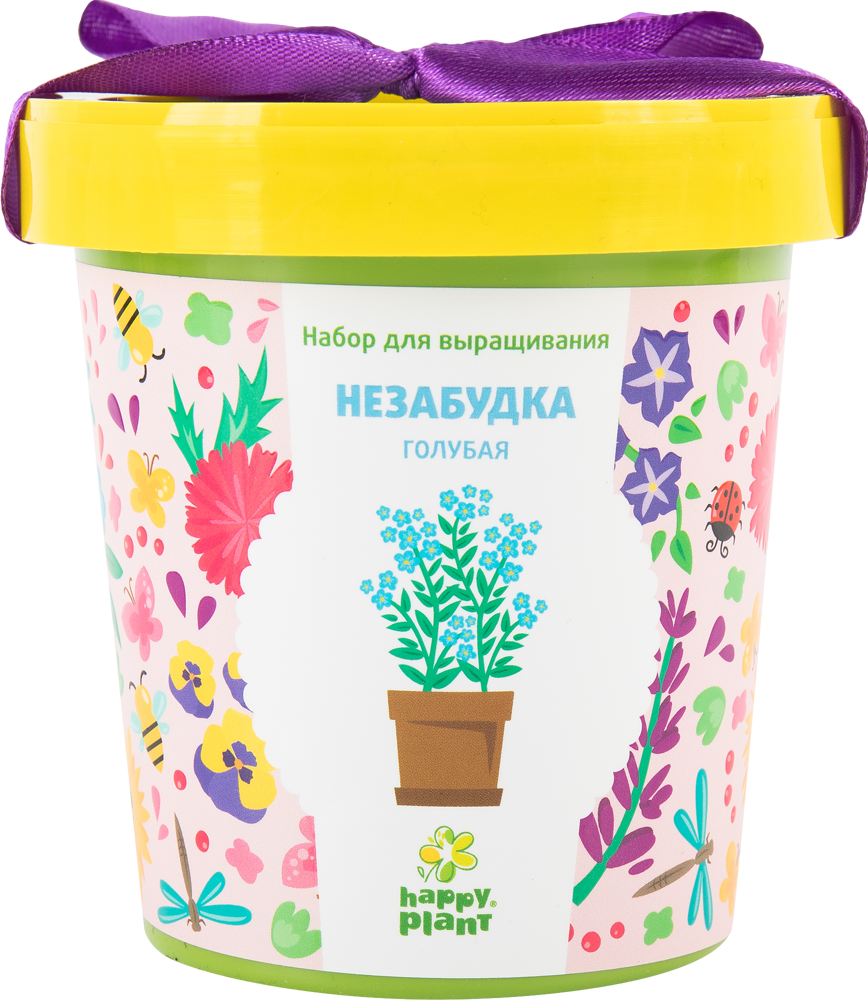 Незабудка голубая в горшке (5 упак.)
