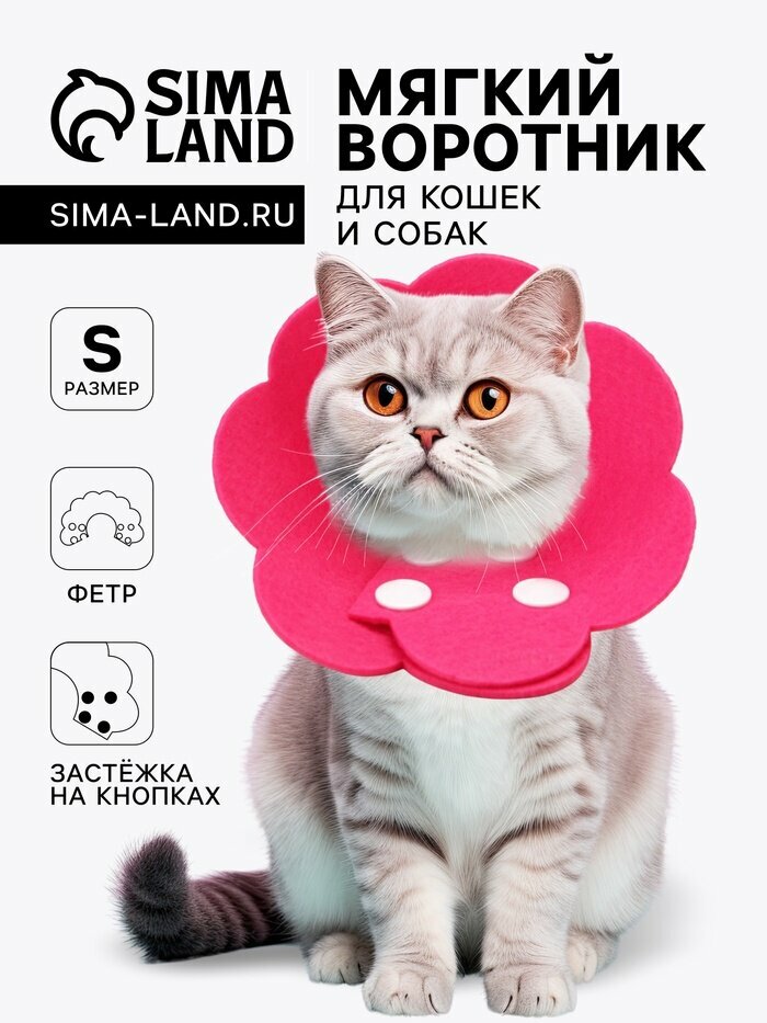 Ветеринарный воротник из фетра "Ромашка", размер S, фуксия