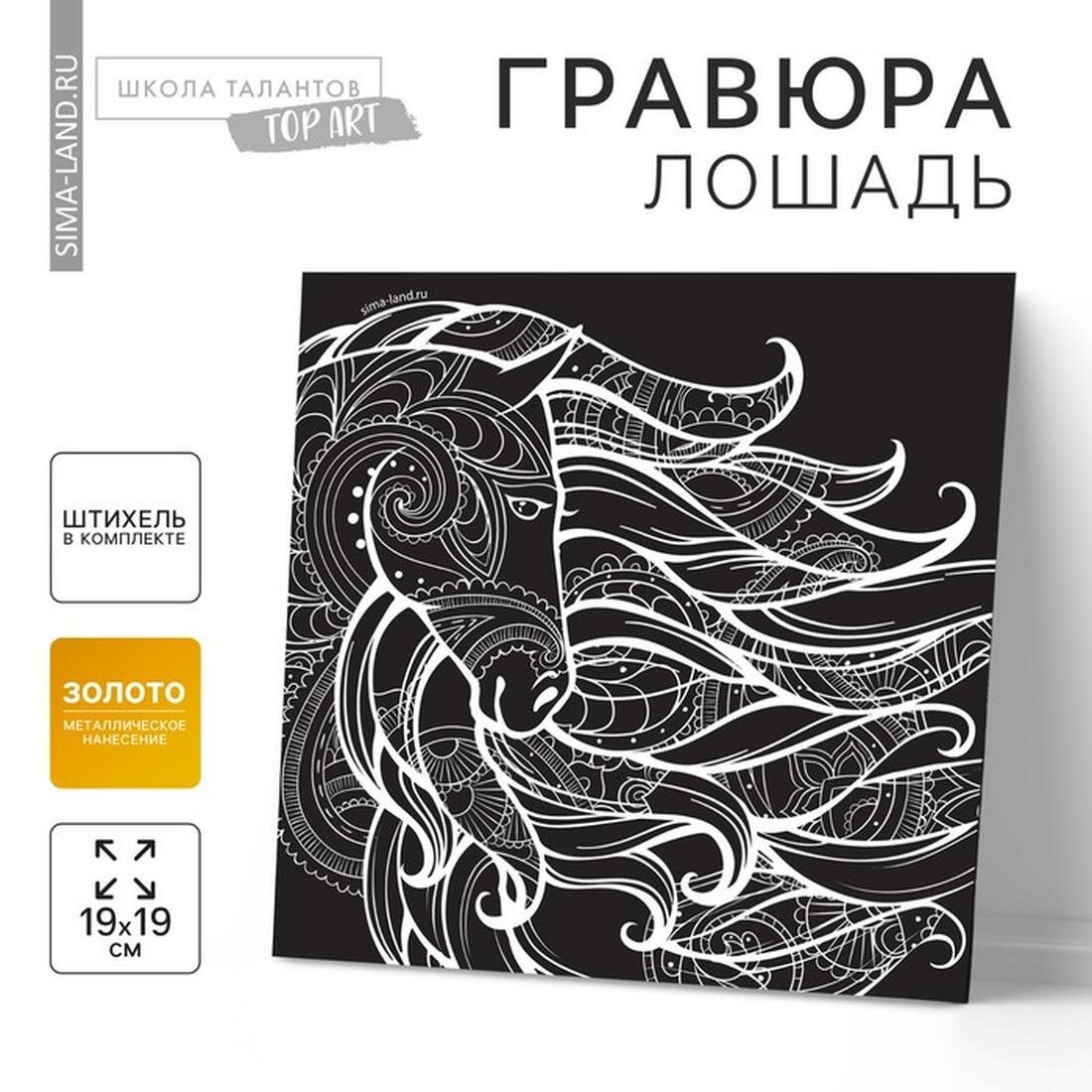 Гравюра Школа талантов "Лошадь", размер 19 х 19 см, штихель в комплекте