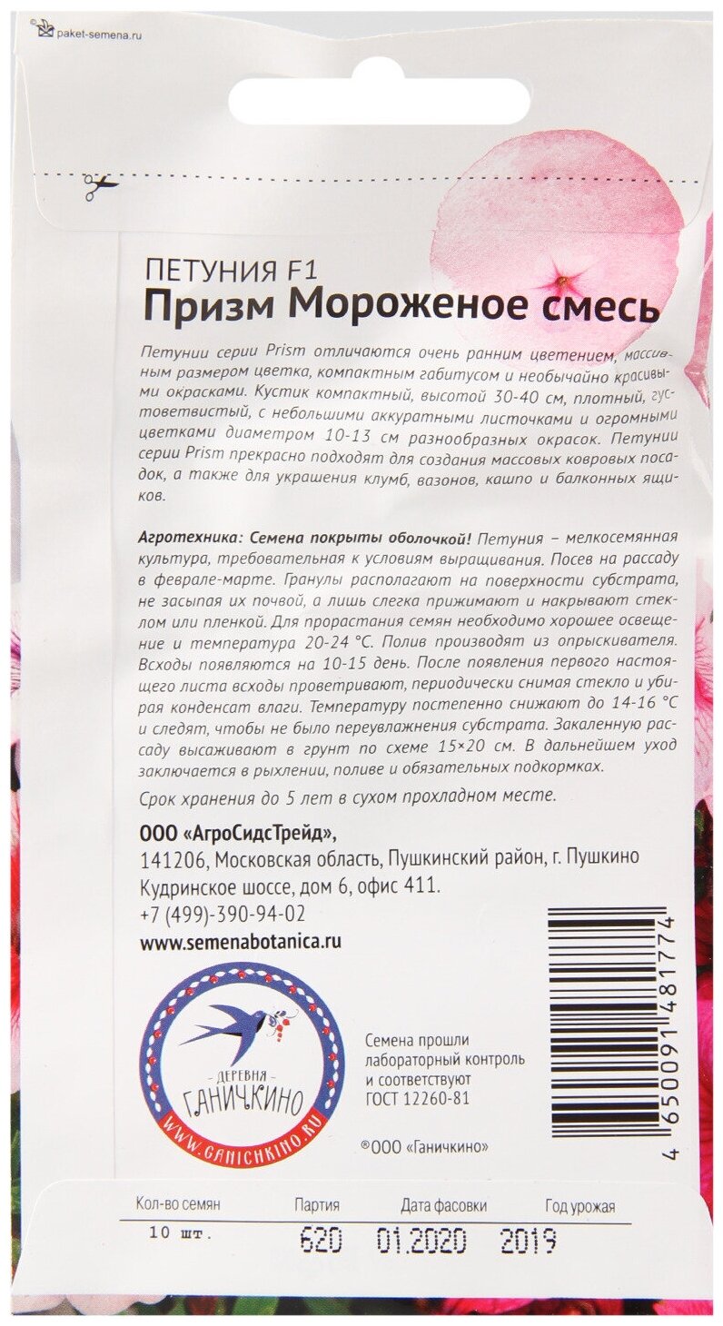 Петуния Октябрина Ганичкина - фото №2