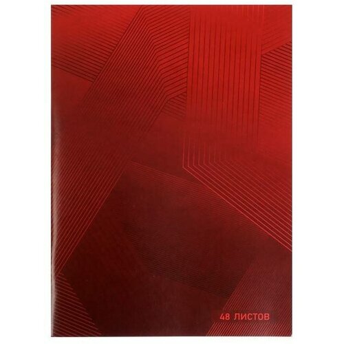 Тетрадь Calligrata - Красная, в клетку, на скобе, 48 листов, А4, 1 шт.