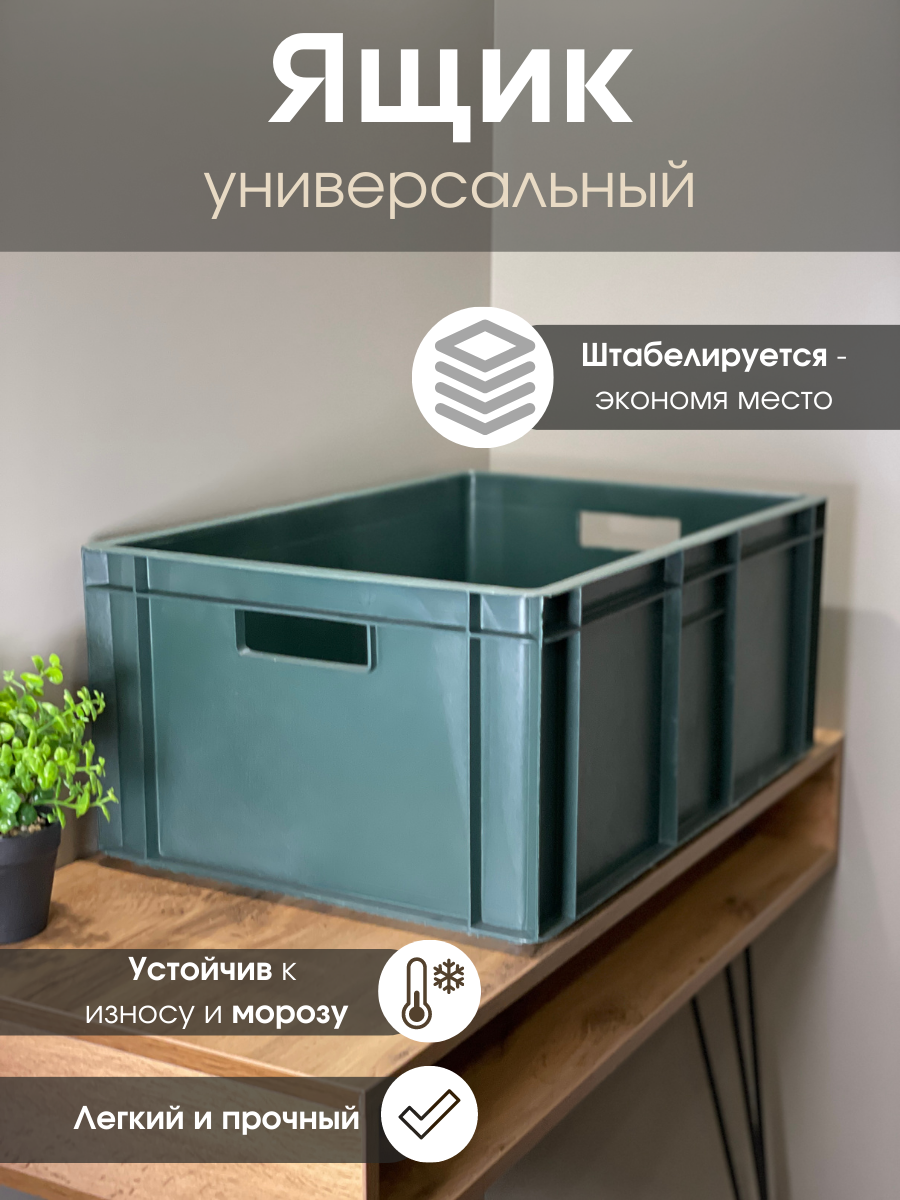 Ящик для хранения пластиковый продуктовый 600*400*250 для овощей и фруктов