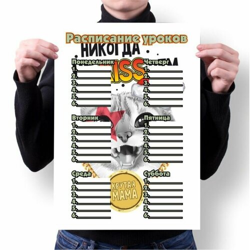 Расписание уроков Новый год №46