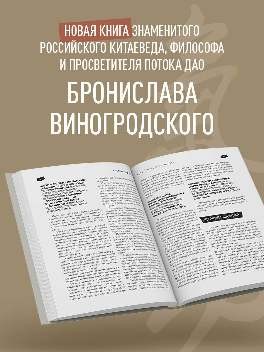 Цигун. Танец осознанности. (Виногродский Бронислав Брониславович) - фото №3