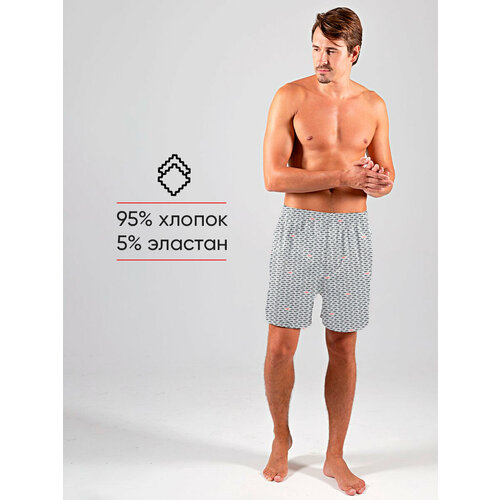 фото Трусы , размер xl (52), голубой xoxolook