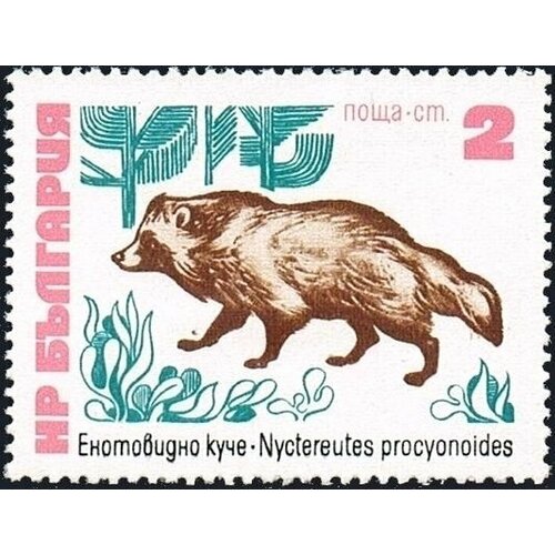 (1973-040) Марка Болгария Енотовидная собака Редкие животные (млекопитающие) III Θ