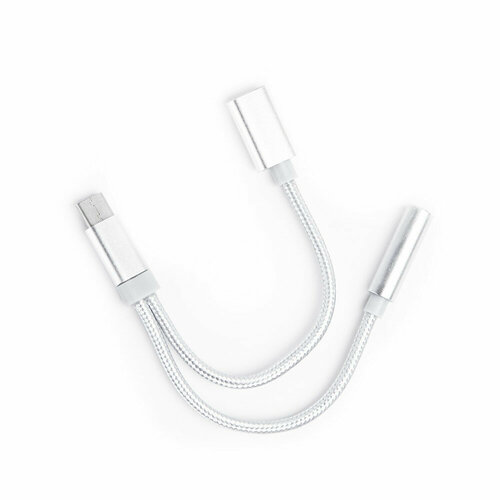 Переходник ATOMevolution USB Type-C 31 - 35 JackUSB Type-C 015 метра серебряный 216₽