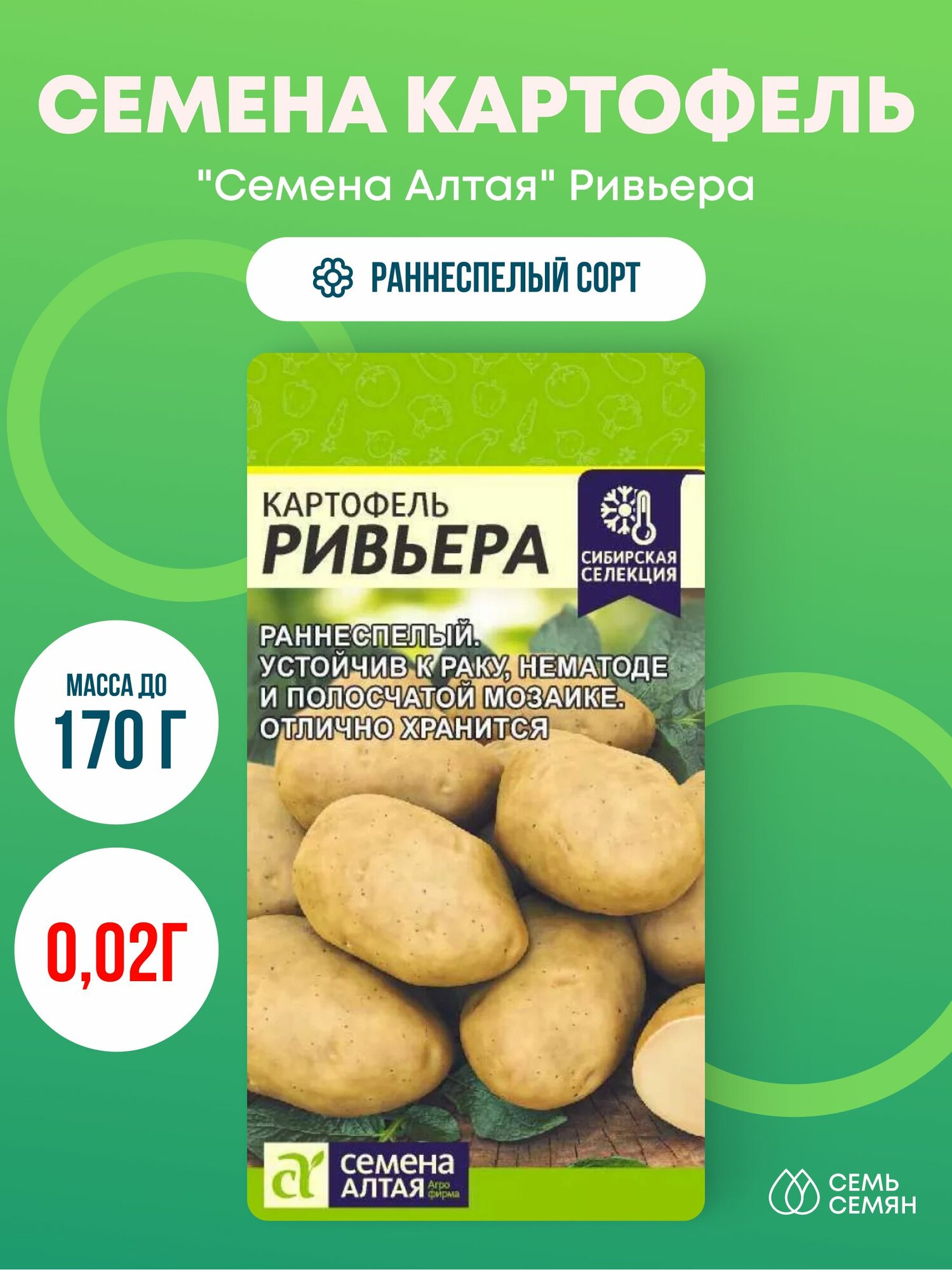 Семена картофеля сорта Шарлотта — купить по низкой цене на Яндекс Маркете