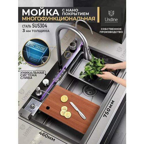 фото Мойка многофункциональная для кухни с термостатом wermixer