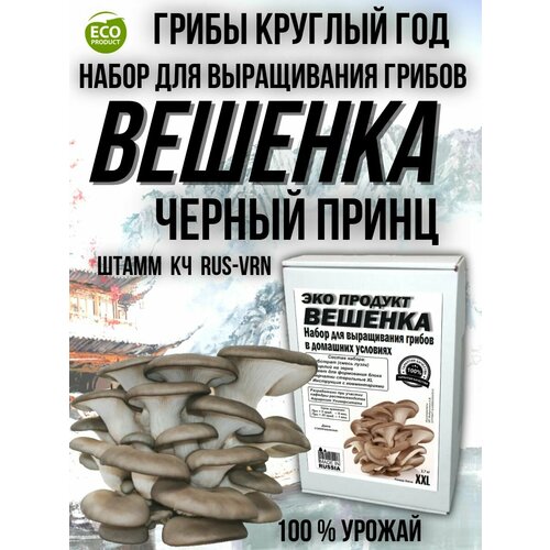 Набор для выращивания грибов в домашних условиях