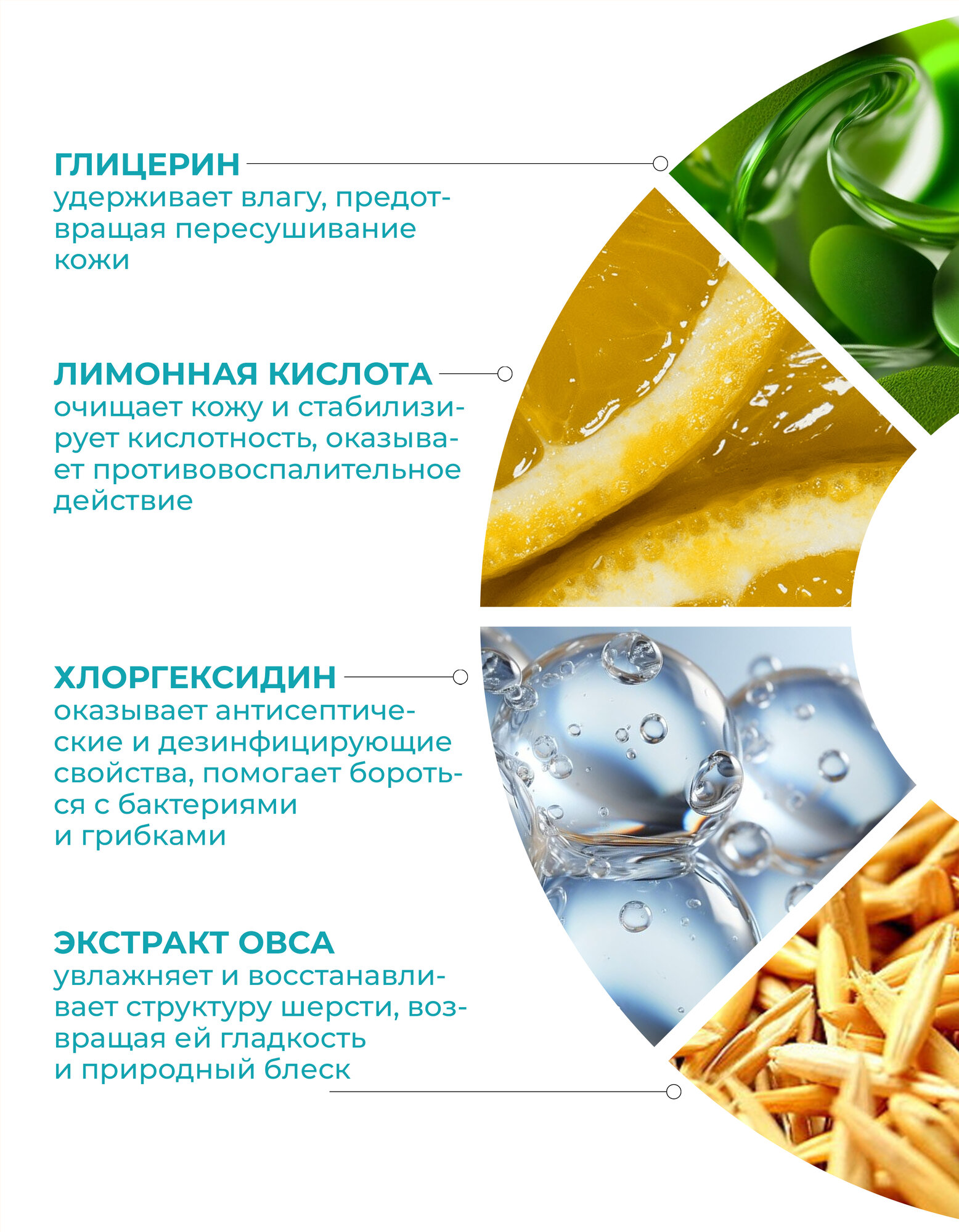 Мыло для лап для собак, с хлоргексидином, гель мыло для мытья лап, антибактериальное, 450мл — фото 1