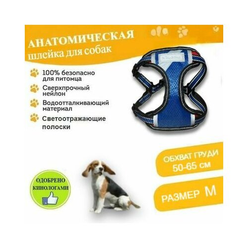 Шлейка для собак средних и крупных пород Xing Ning анатомическая обхват груди M (50-65 см), с поводком 115 см светоотражающая синяя