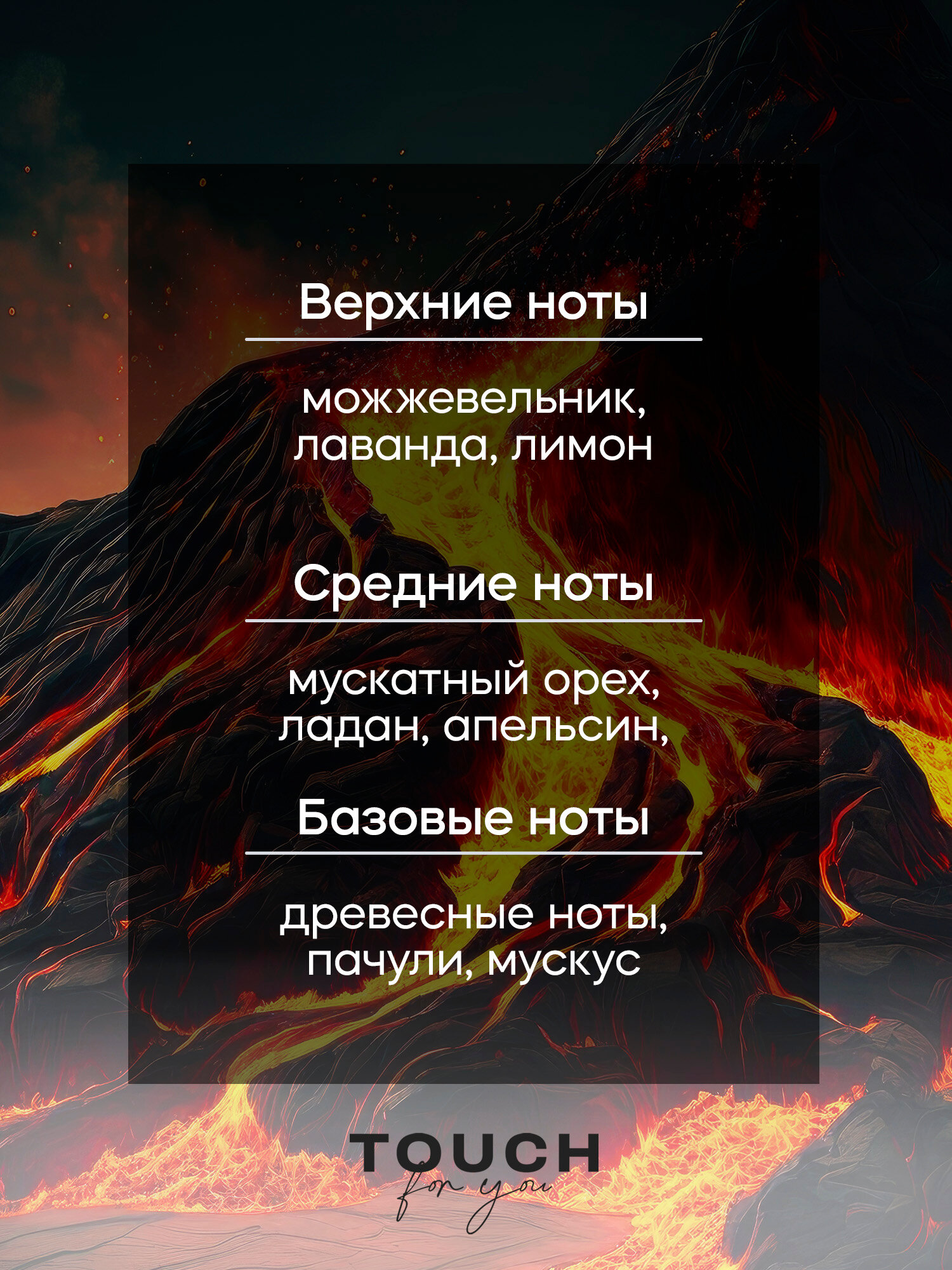 Гель шампунь TOUCH for you мужской парфюмированный древесные ноты, 3в1, 1л — фото 1